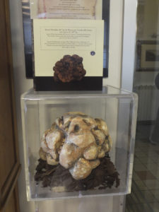 news-sanminiato-trueffel-09